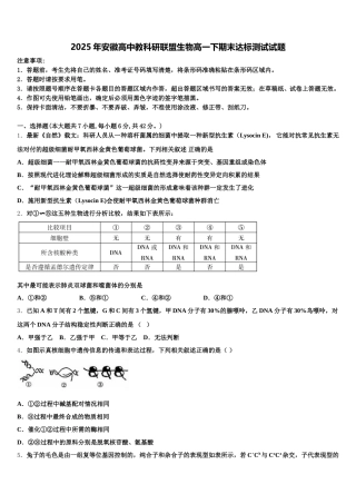 2025年安徽高中教科研联盟生物高一下期末达标测试试题含解析