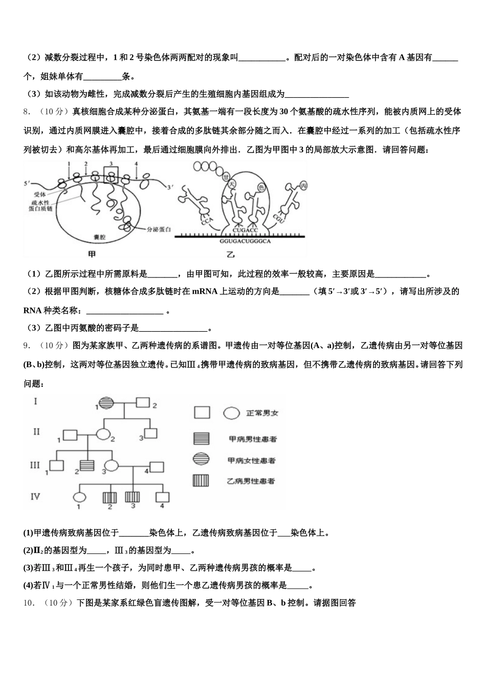 2025年安徽省滁州海亮学校高一下生物期末学业质量监测模拟试题含解析_第3页