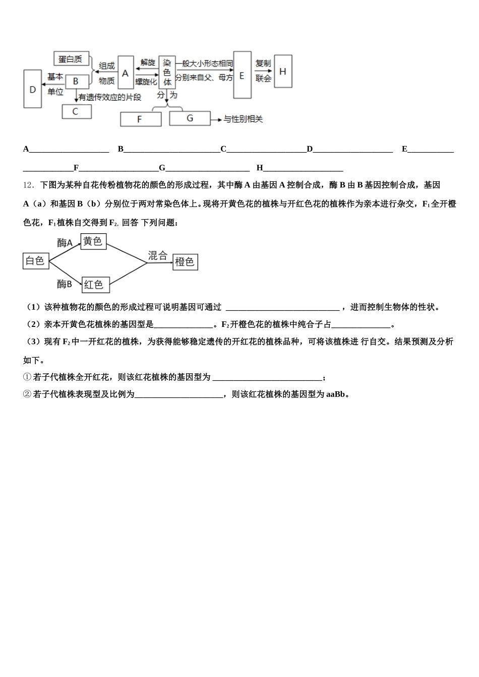 安徽省六安市金安区六安市第一中学2024-2025学年高一生物第二学期期末达标检测试题含解析_第3页