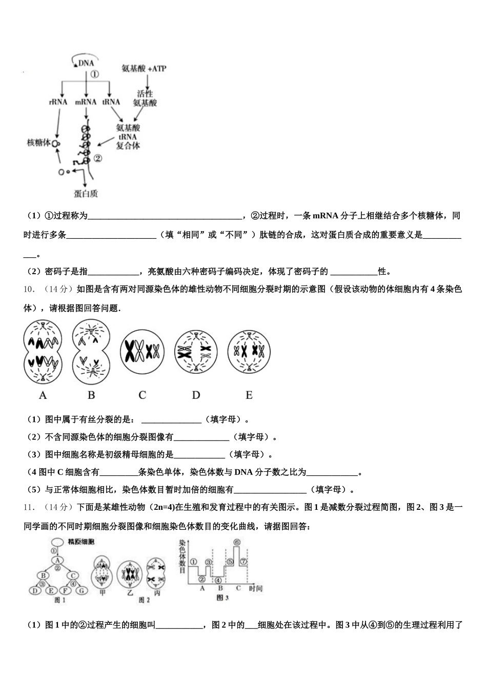 2024-2025学年安徽省宿州市时村中学高一下生物期末调研试题含解析_第3页