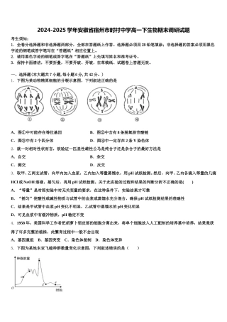 2024-2025学年安徽省宿州市时村中学高一下生物期末调研试题含解析