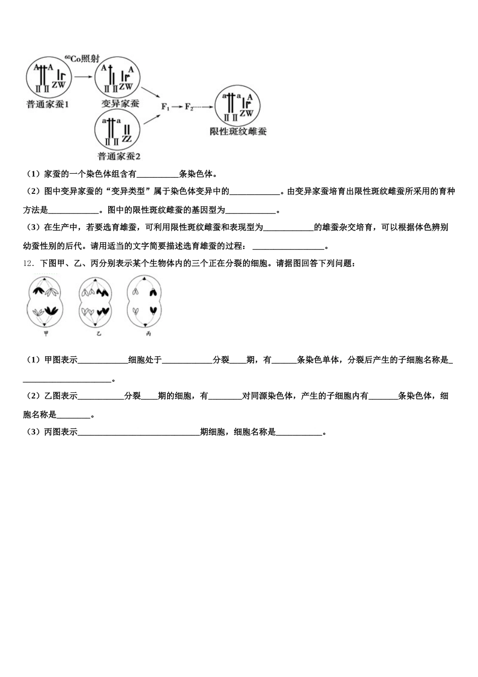 2025届安徽省太和县第一中学生物高一第二学期期末教学质量检测模拟试题含解析_第3页