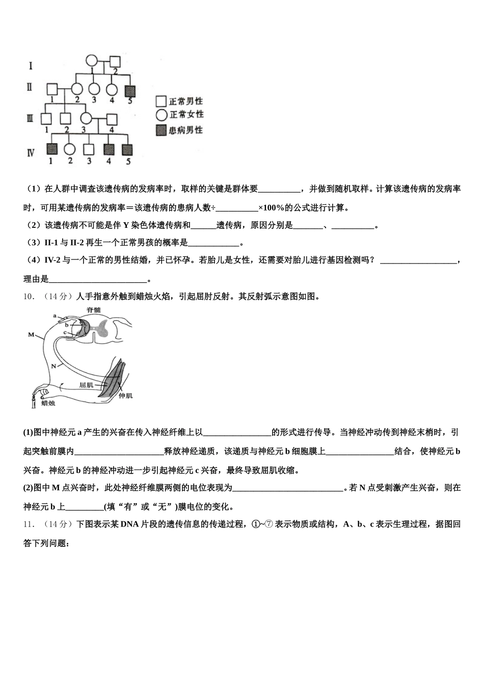 2025年安徽省毛坦厂中学生物高一第二学期期末经典模拟试题含解析_第3页