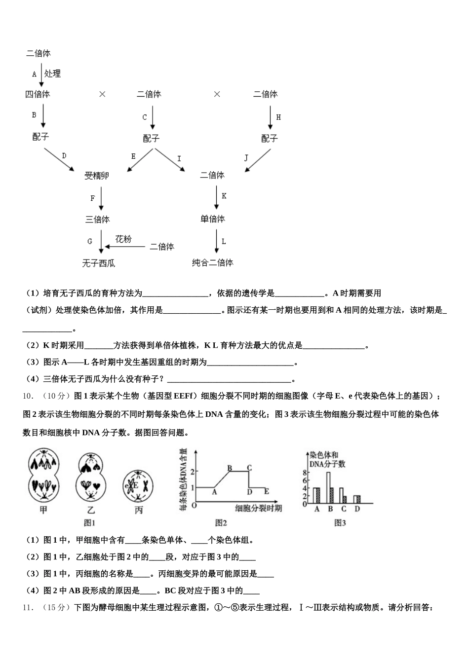 安徽省定远育才实验学校2024-2025学年生物高一第二学期期末综合测试模拟试题含解析_第3页