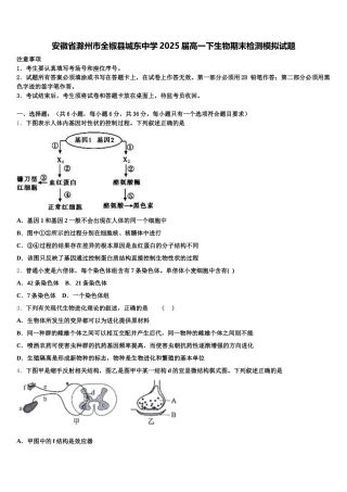 安徽省滁州市全椒县城东中学2025届高一下生物期末检测模拟试题含解析