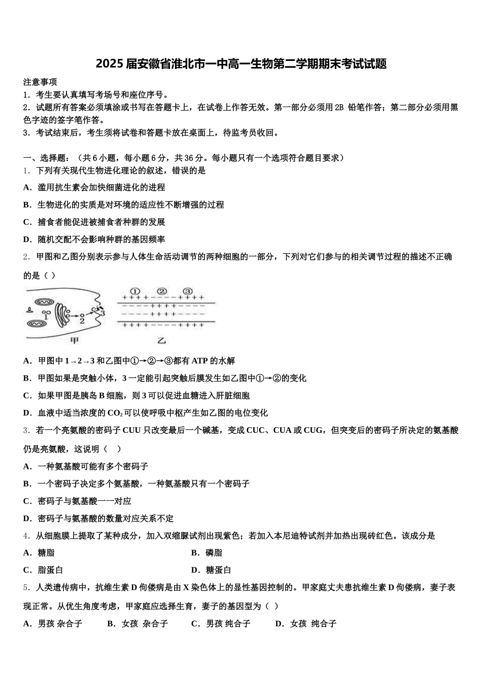 2025届安徽省淮北市一中高一生物第二学期期末考试试题含解析_第1页
