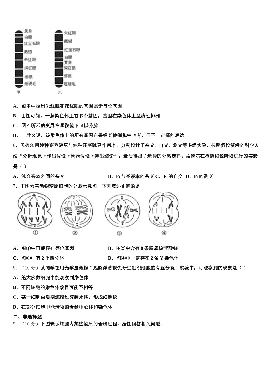 安徽省“皖南八校”2025年生物高一下期末复习检测模拟试题含解析_第2页
