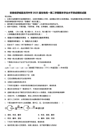 安徽省舒城县龙河中学2025届生物高一第二学期期末学业水平测试模拟试题含解析