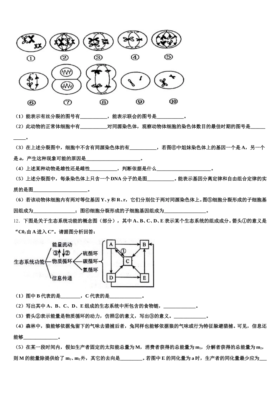 安徽省蚌埠田家炳中学、五中2025年生物高一第二学期期末联考试题含解析_第3页