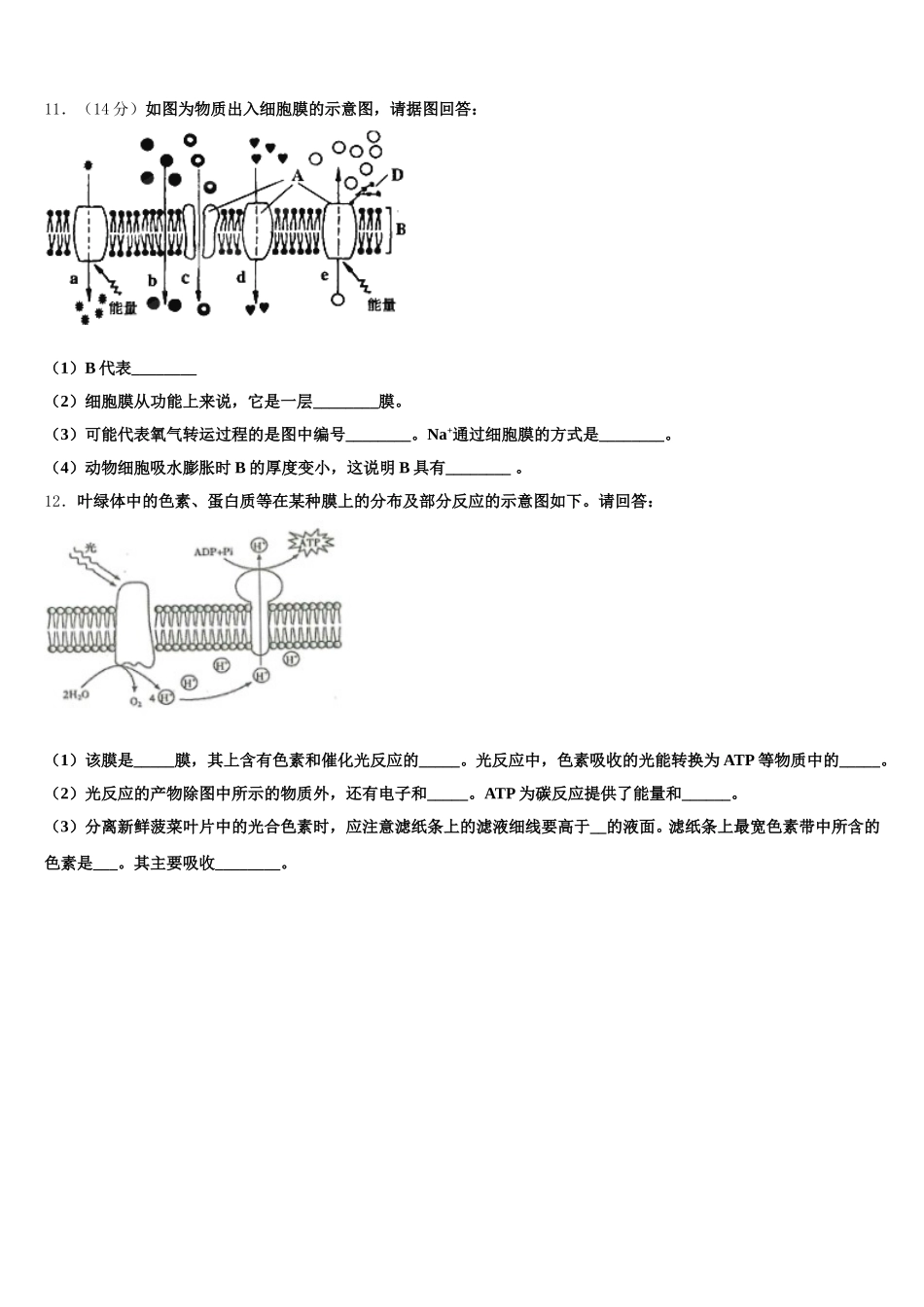 安徽省宿州市褚兰中学2025届生物高一第二学期期末联考模拟试题含解析_第3页