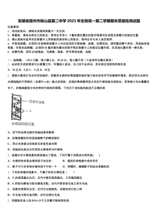 安徽省宿州市砀山县第二中学2025年生物高一第二学期期末质量检测试题含解析