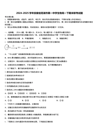 2024-2025学年安徽省芜湖市第一中学生物高一下期末联考试题含解析