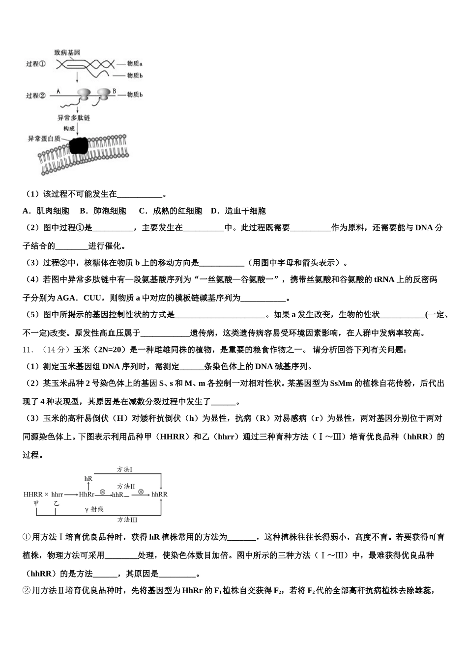 安徽省铜陵市第五中学2025届生物高一下期末学业水平测试试题含解析_第3页