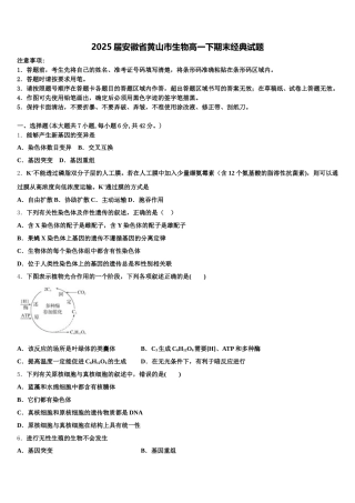 2025届安徽省黄山市生物高一下期末经典试题含解析