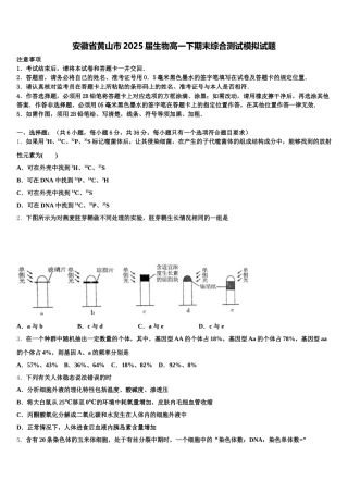 安徽省黄山市2025届生物高一下期末综合测试模拟试题含解析