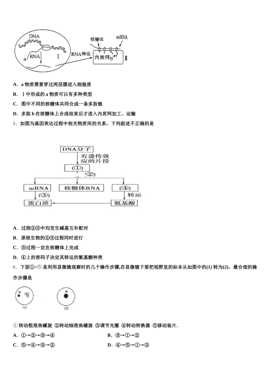 2025届安徽省北大附属宿州实验学校高一生物第二学期期末质量跟踪监视试题含解析_第2页