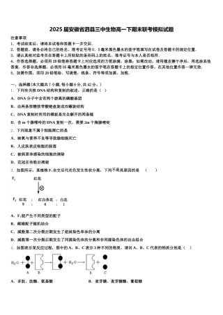 2025届安徽省泗县三中生物高一下期末联考模拟试题含解析