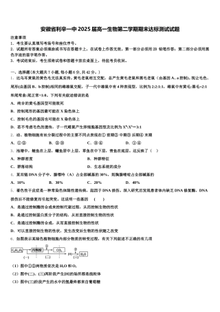 安徽省利辛一中2025届高一生物第二学期期末达标测试试题含解析