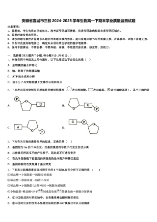 安徽省宣城市三校2024-2025学年生物高一下期末学业质量监测试题含解析