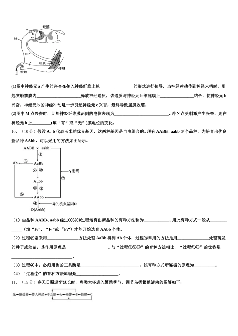 马鞍山市重点中学2024-2025学年高一下生物期末经典试题含解析_第3页