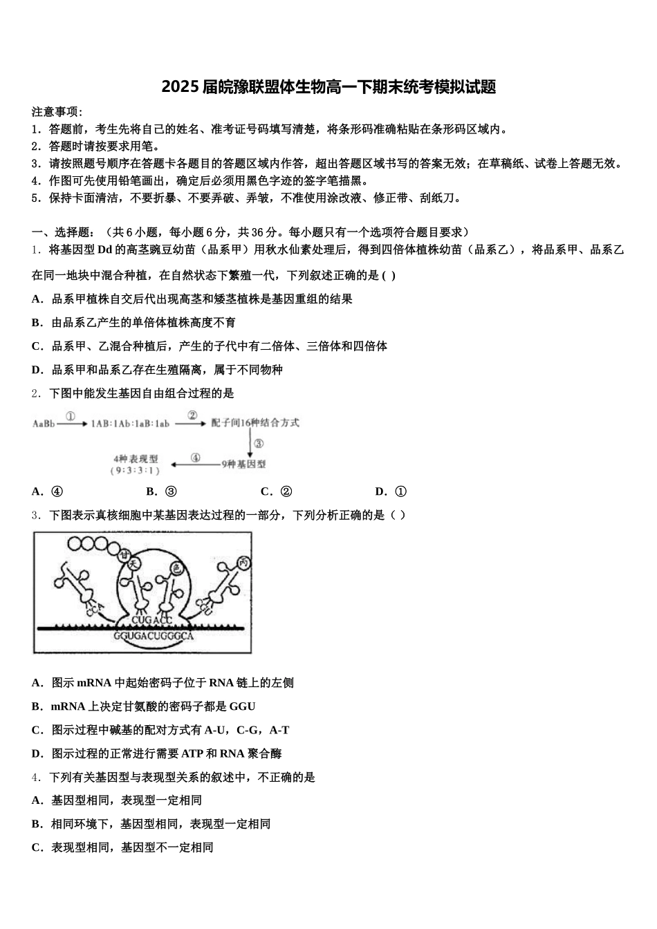 2025届皖豫联盟体生物高一下期末统考模拟试题含解析_第1页