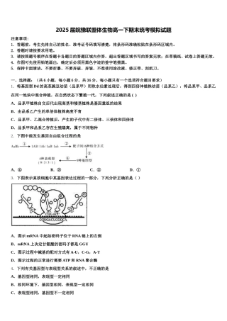 2025届皖豫联盟体生物高一下期末统考模拟试题含解析