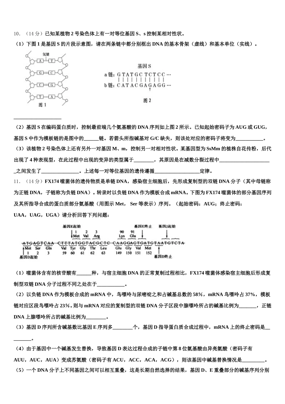 2025届蚌埠市重点中学生物高一下期末学业水平测试模拟试题含解析_第3页