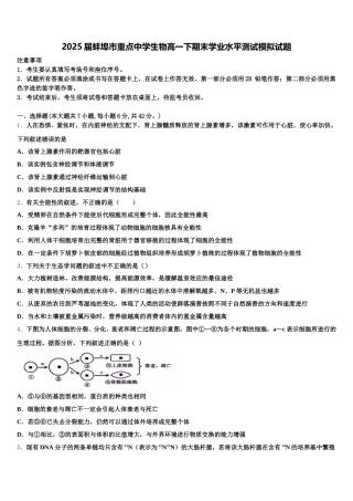 2025届蚌埠市重点中学生物高一下期末学业水平测试模拟试题含解析