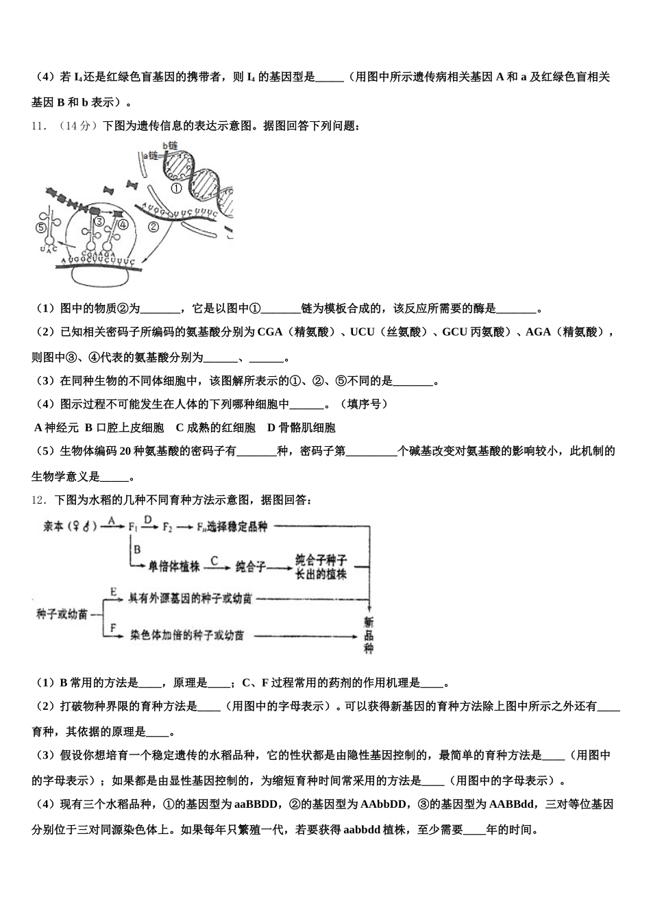 2024-2025学年全国版天一大联考高一下生物期末统考试题含解析_第3页