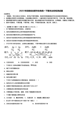 2025年安徽省合肥市生物高一下期末达标检测试题含解析