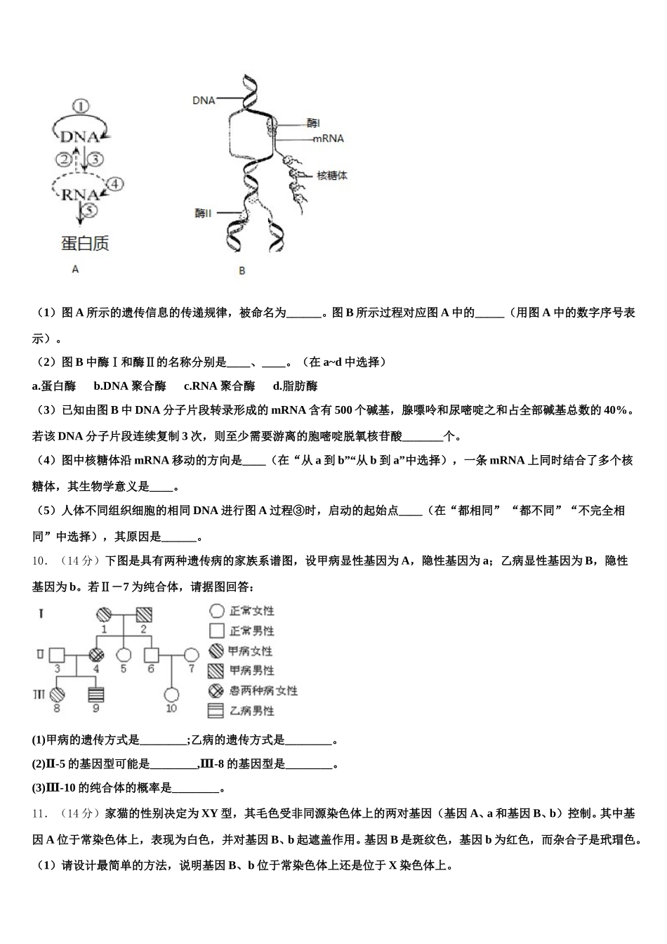2025届安徽省泗县九里沟中学高一下生物期末检测试题含解析_第3页