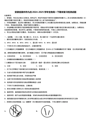 安徽省滁州市九校2024-2025学年生物高一下期末复习检测试题含解析