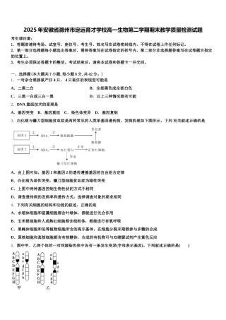 2025年安徽省滁州市定远育才学校高一生物第二学期期末教学质量检测试题含解析