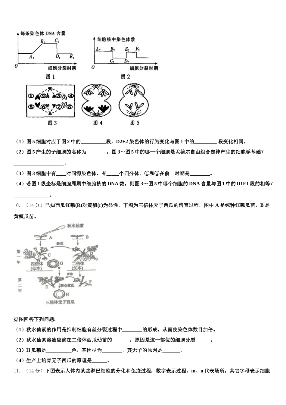 2024-2025学年安徽省池州市贵池区生物高一下期末综合测试模拟试题含解析_第3页