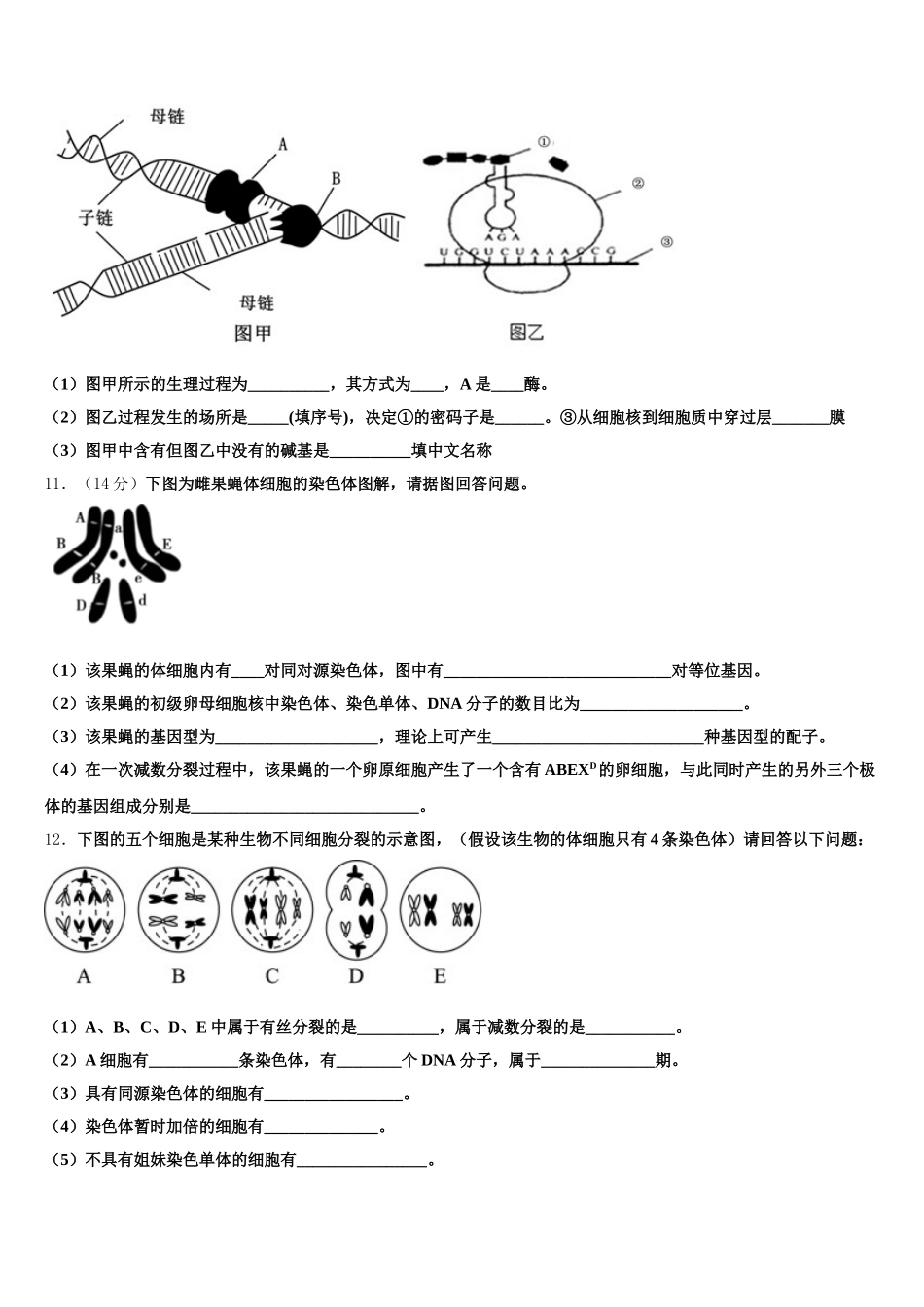 2024-2025学年安徽宿州市时村中学高一下生物期末调研试题含解析_第3页