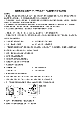 安徽省肥东县圣泉中学2025届高一下生物期末调研模拟试题含解析