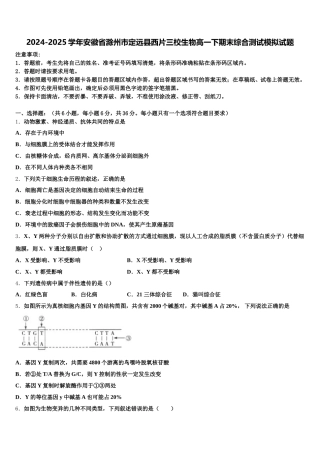 2024-2025学年安徽省滁州市定远县西片三校生物高一下期末综合测试模拟试题含解析