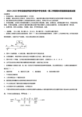 2024-2025学年安徽省界首市界首中学生物高一第二学期期末质量跟踪监视试题含解析