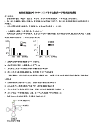 安徽省泗县三中2024-2025学年生物高一下期末预测试题含解析