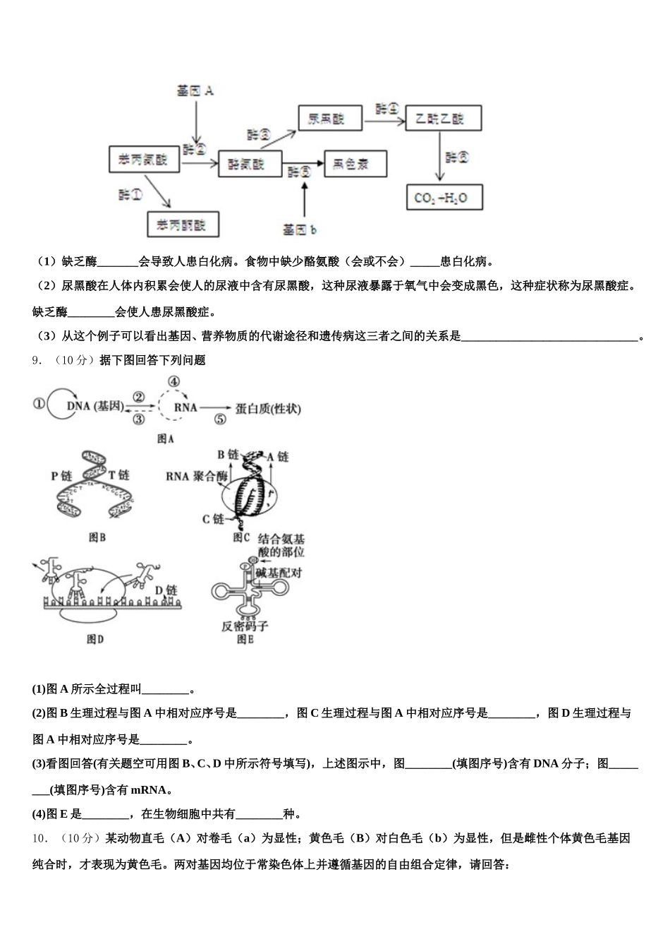 安徽省合肥市一六八中学2025届高一生物第二学期期末质量检测模拟试题含解析_第3页