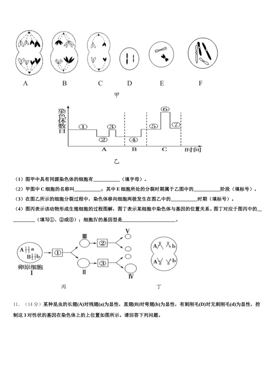 安徽省明光中学2025届生物高一第二学期期末考试模拟试题含解析_第3页