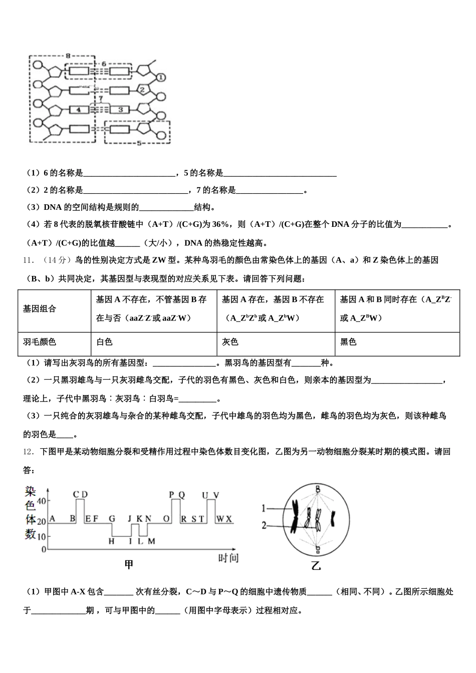 2025年安徽省黄山市屯溪一中生物高一下期末考试模拟试题含解析_第3页