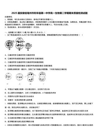 2025届安徽省毫州市利辛县第一中学高一生物第二学期期末质量检测试题含解析