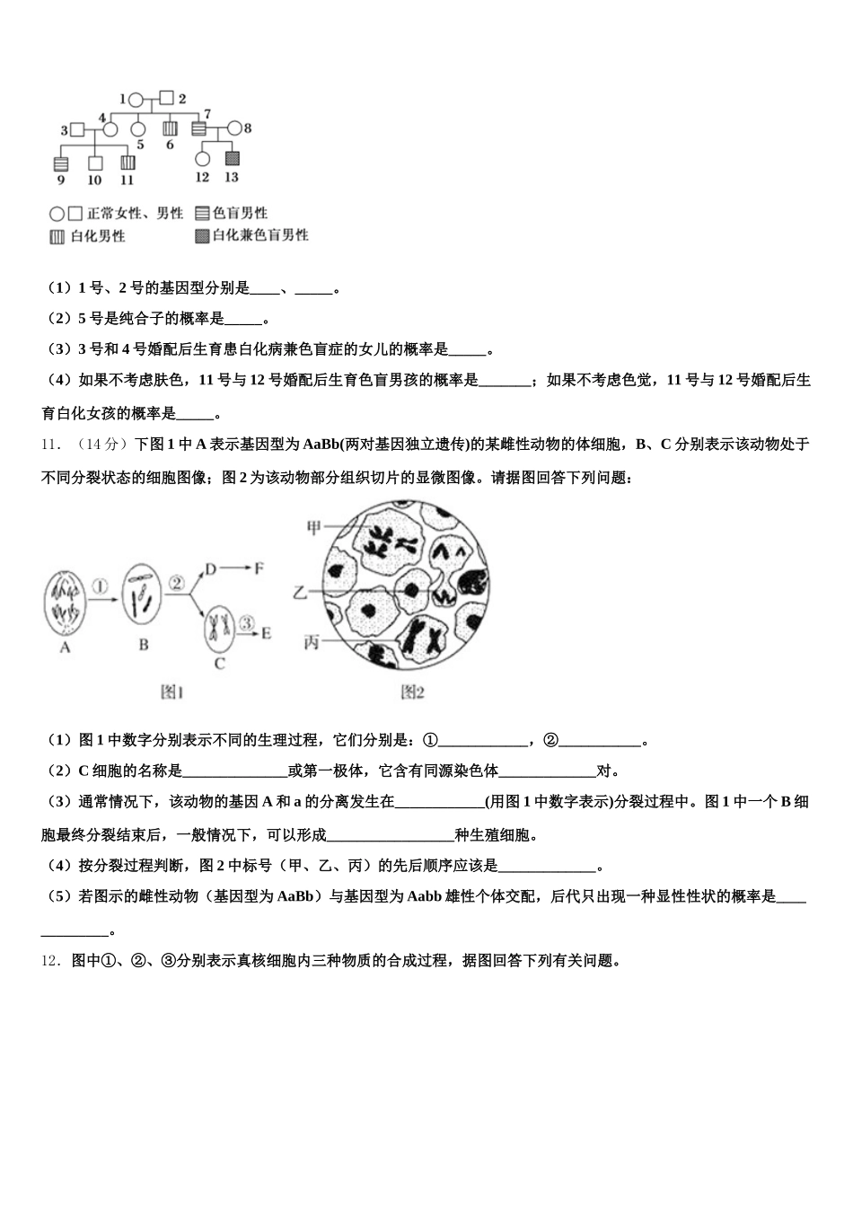 安徽省合肥市寿春中学2025年高一下生物期末综合测试模拟试题含解析_第3页