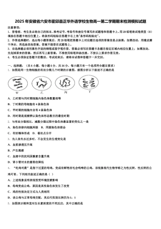 2025年安徽省六安市霍邱县正华外语学校生物高一第二学期期末检测模拟试题含解析