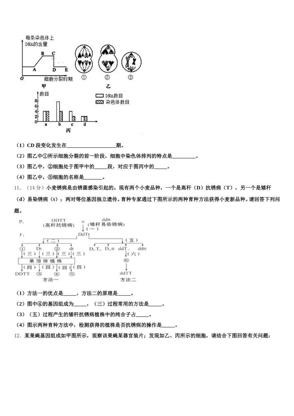2025年安徽省淮南第一中学高一生物第二学期期末联考试题含解析_第3页