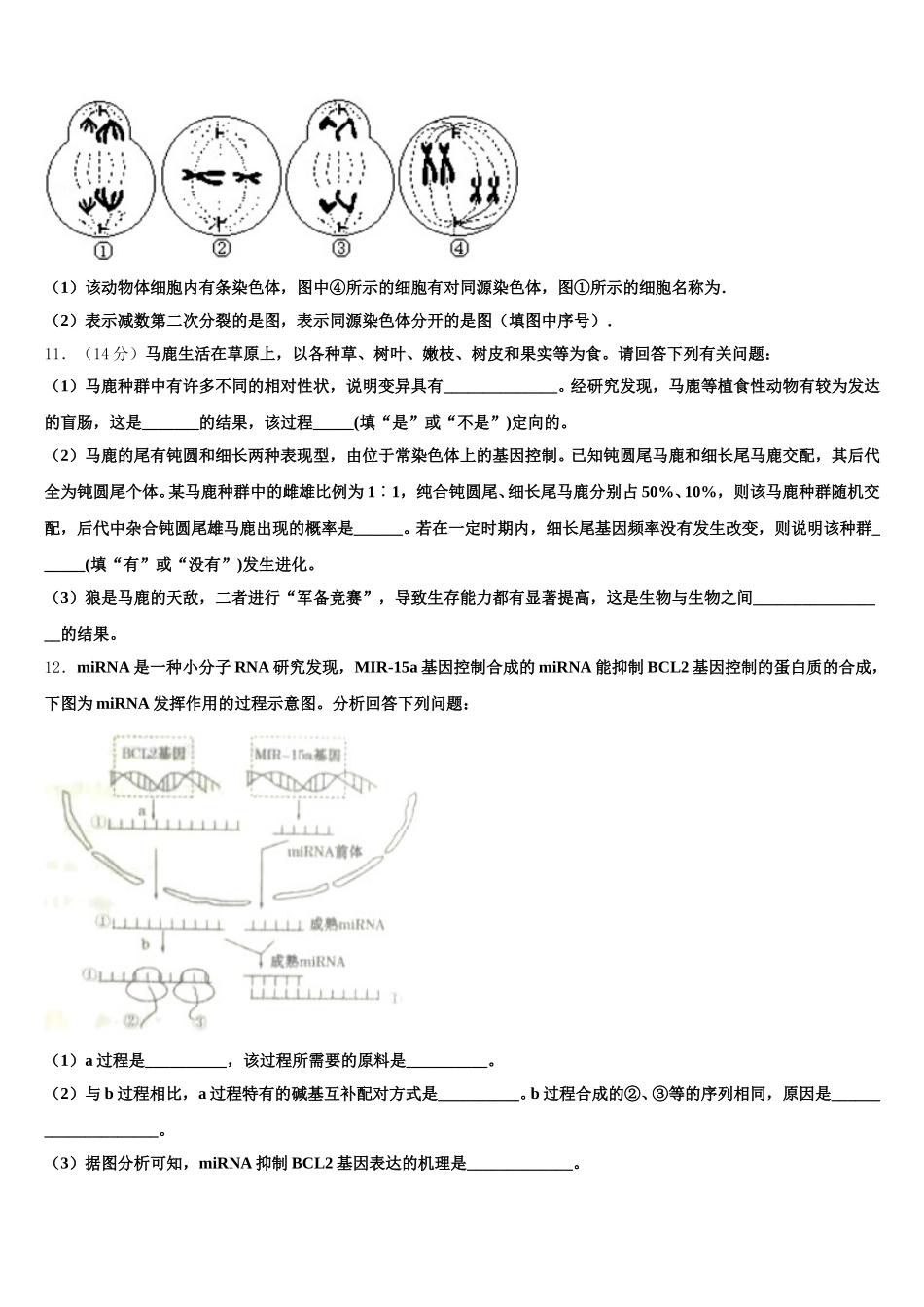 安徽省凤阳中学2025年高一下生物期末综合测试试题含解析_第3页