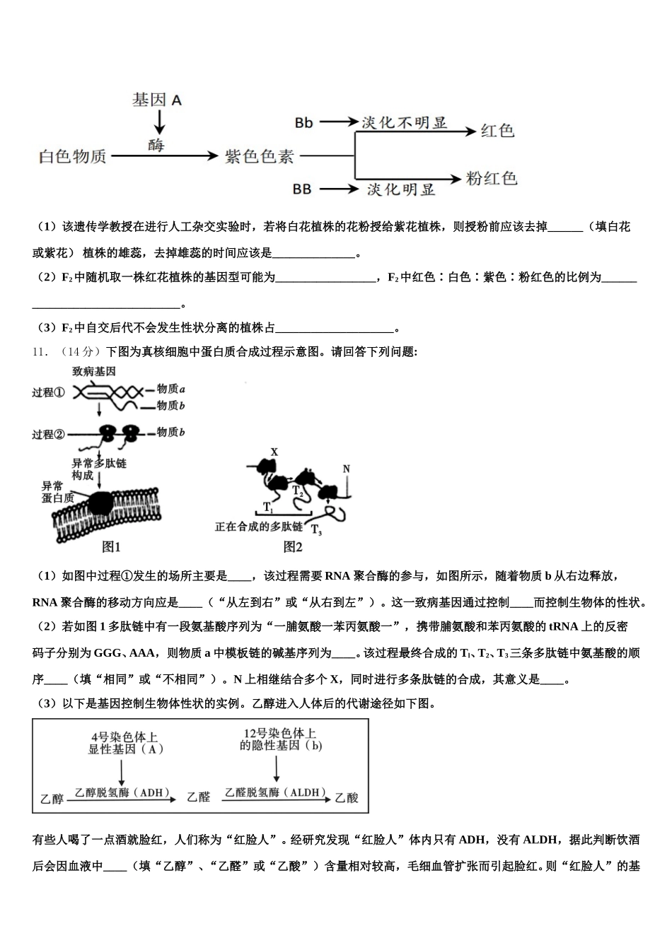 2025届百校联盟TOP300生物高一下期末考试试题含解析_第3页