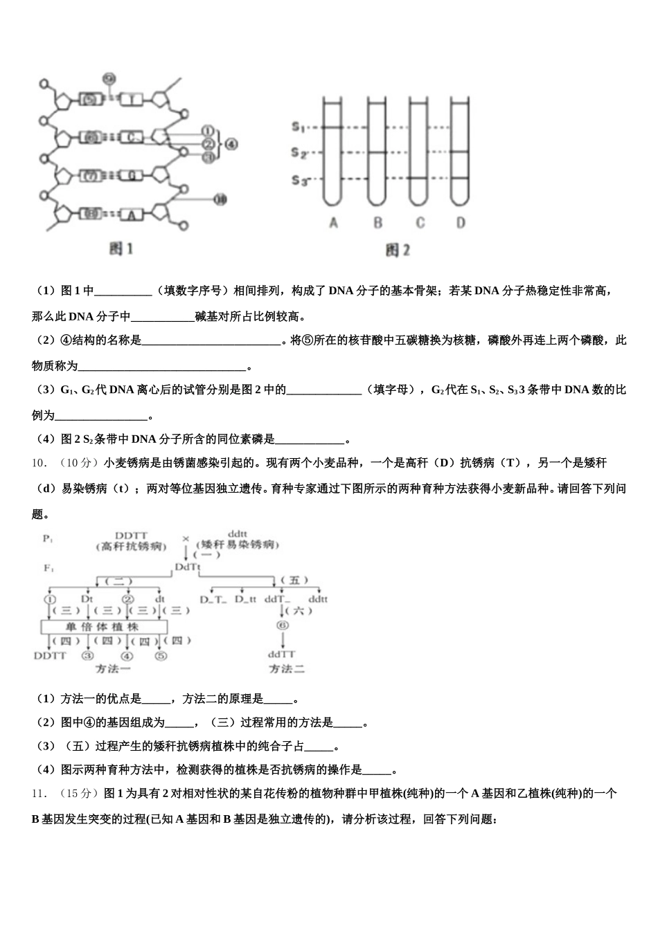 2025年安徽合肥六中生物高一下期末综合测试模拟试题含解析_第3页