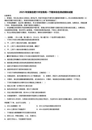 2025年安徽合肥六中生物高一下期末综合测试模拟试题含解析